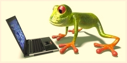 Laptop frog